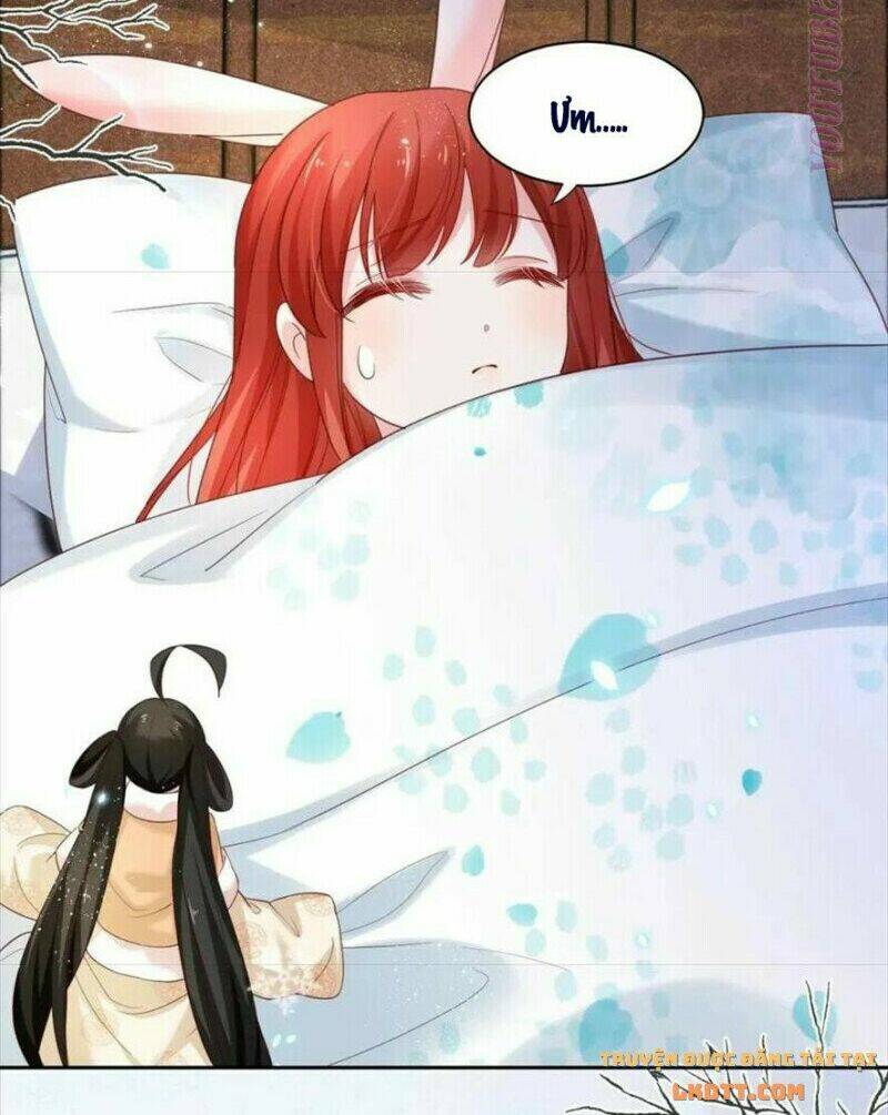 hắc hóa nam chính trực tuyến nuôi thỏ chapter 55 4