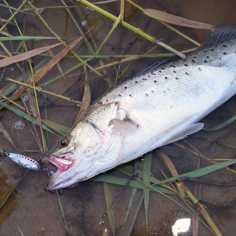 Mồi Câu Lure Mồi Thìa Lượn Spoon Mồi Câu Lure Suối Câu Mương MG2