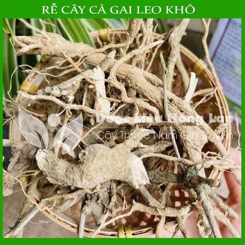 [THƯỢNG HẠNG] 500g Rễ Cây Cà Gai Leo sấy khô loại 1