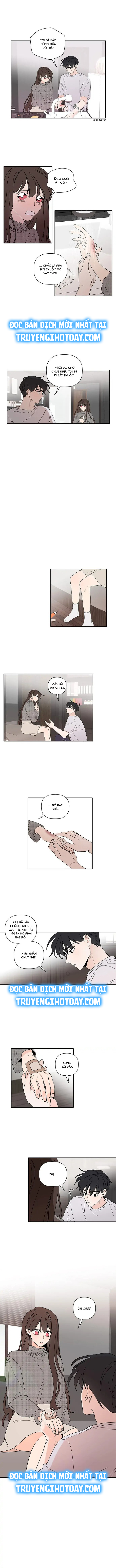 hương vị năm mới chapter 11 6