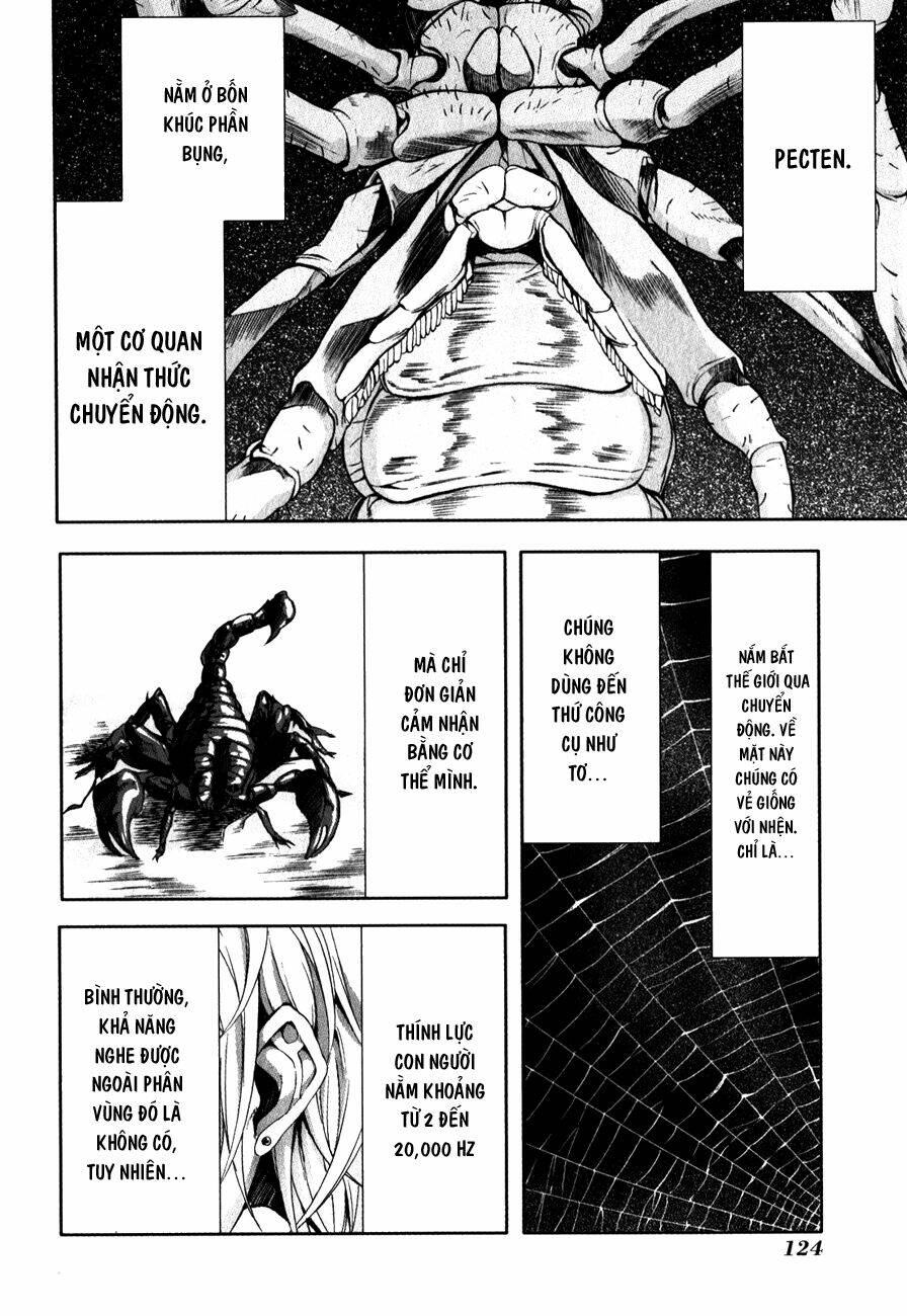 arachnid chapter 29 16