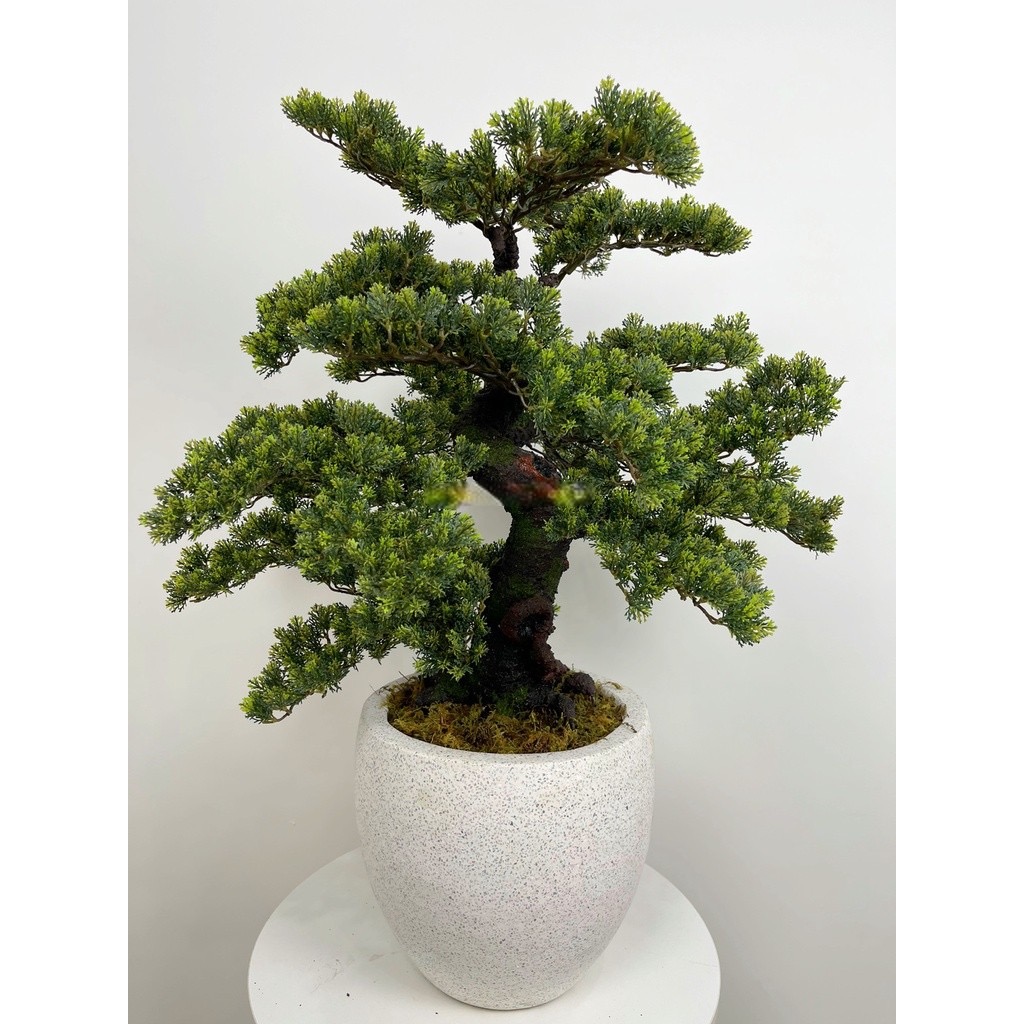 Cây tùng lá ngắn giả - Cây bonsai giả - Cây giả, hoa lụa Decor trang trí nhà cửa