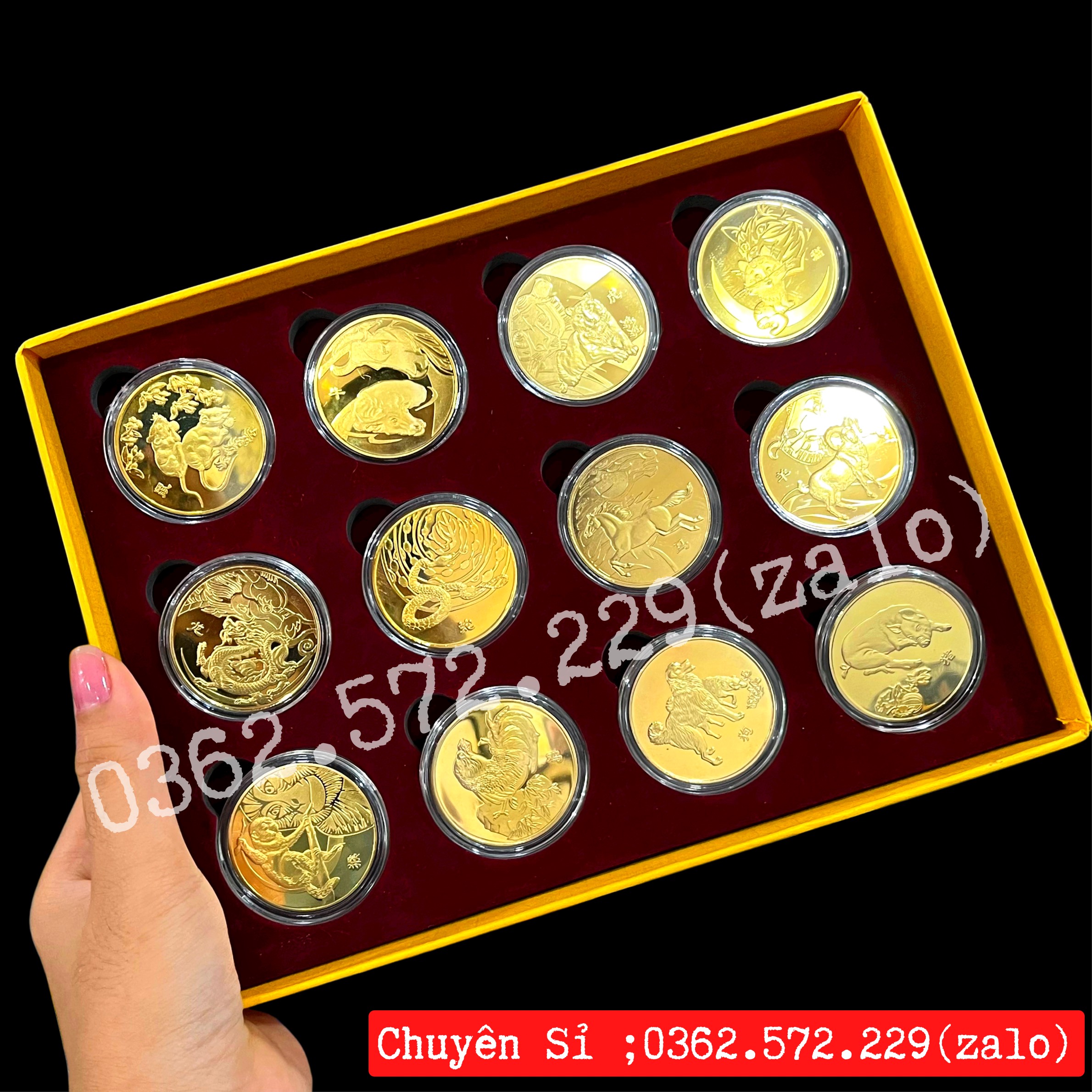 Bộ 12 Xu Con Giáp Gồm Hộp Đỏ Sang Trọng