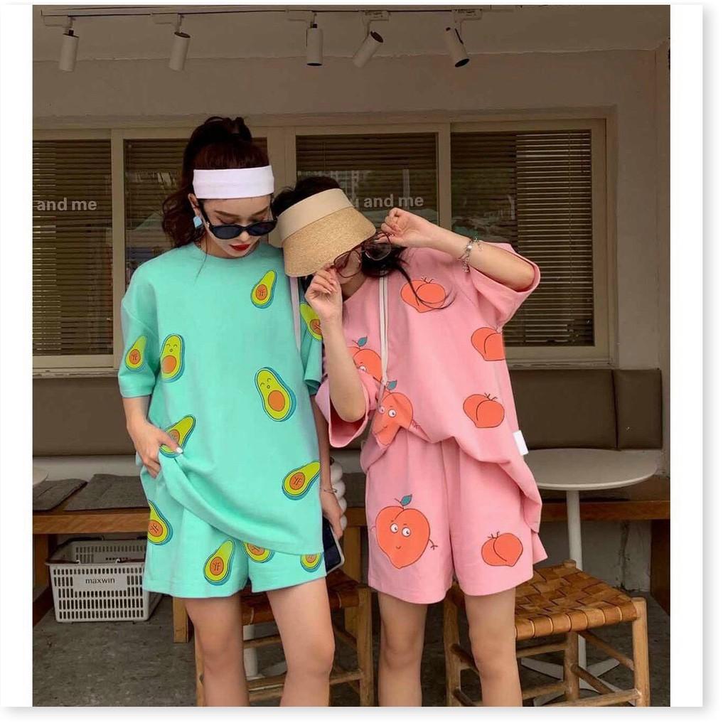 SET BỘ TRÁI BƠ CUTE