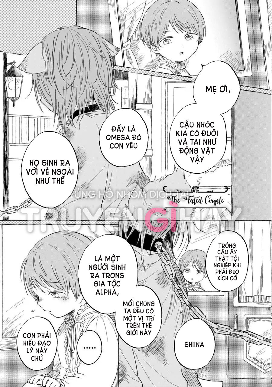 neko mimi omegaverse chapter 6.1 3