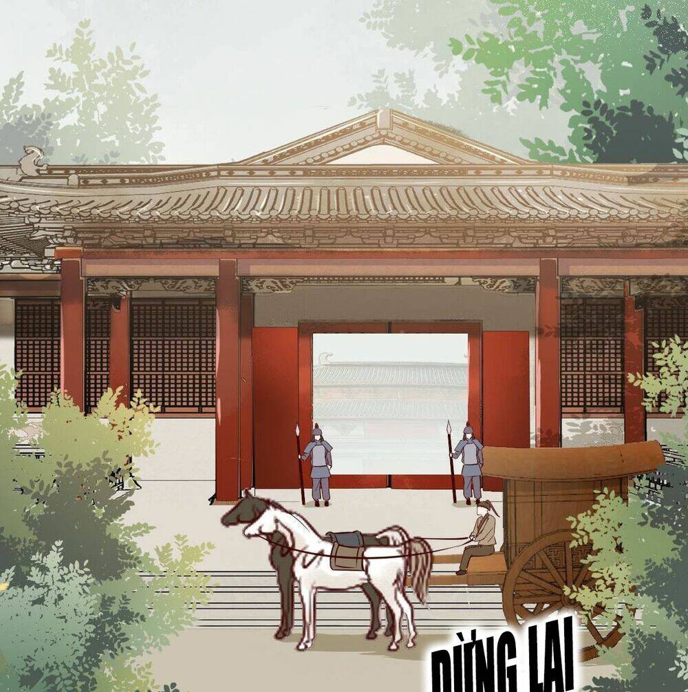 sát thủ vương phi không dễ chọc chapter 18.1 7