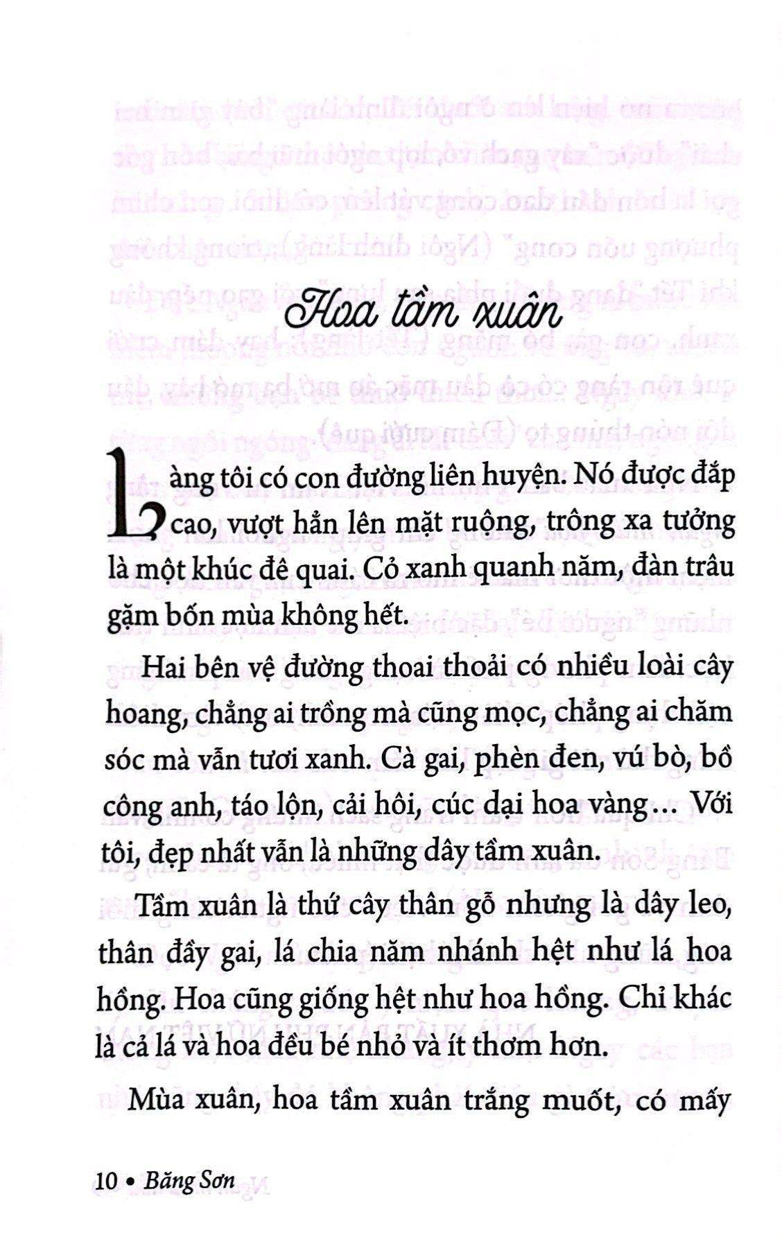 Sách - Ngàn Mùa Hoa - Nét Đẹp Thiên Nhiên