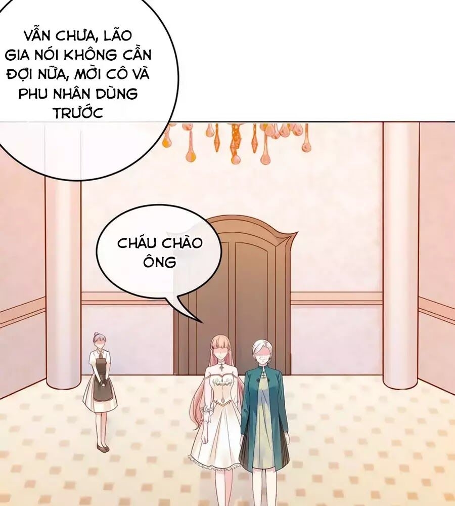 Băng Sơn Tổng Tài Sủng Thê Đến Vô Đạo Chapter 29 - Trang 17