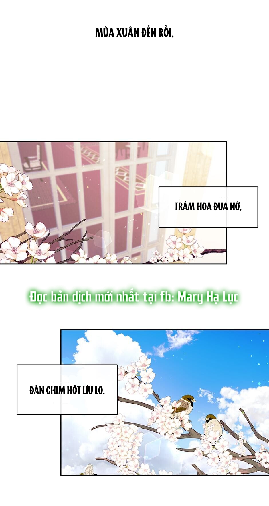 cẩn thận nữ phụ phản diện đấy! chapter 92 46