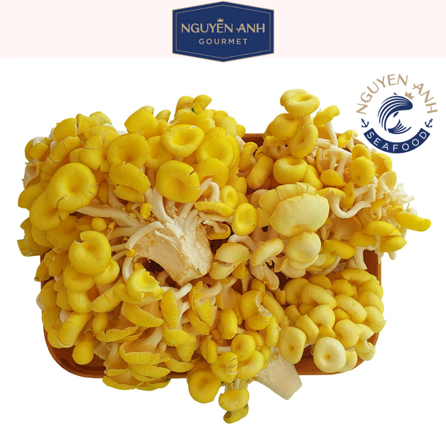 Nấm hoàng kim tươi 200g nông trại Nấm Xanh