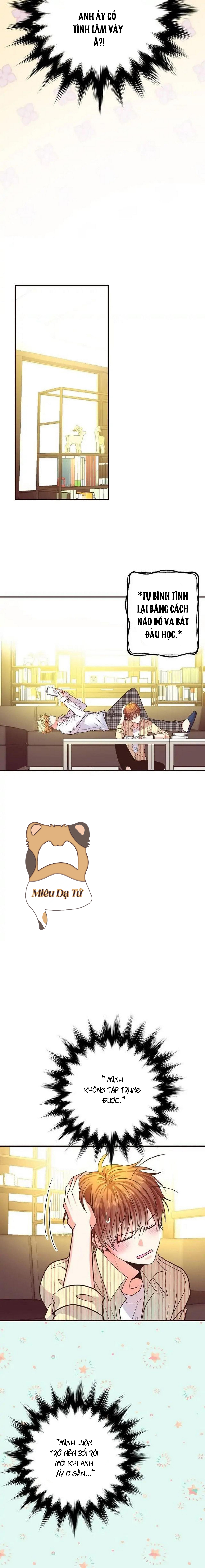 mối quan hệ phù hợp chapter 24 9