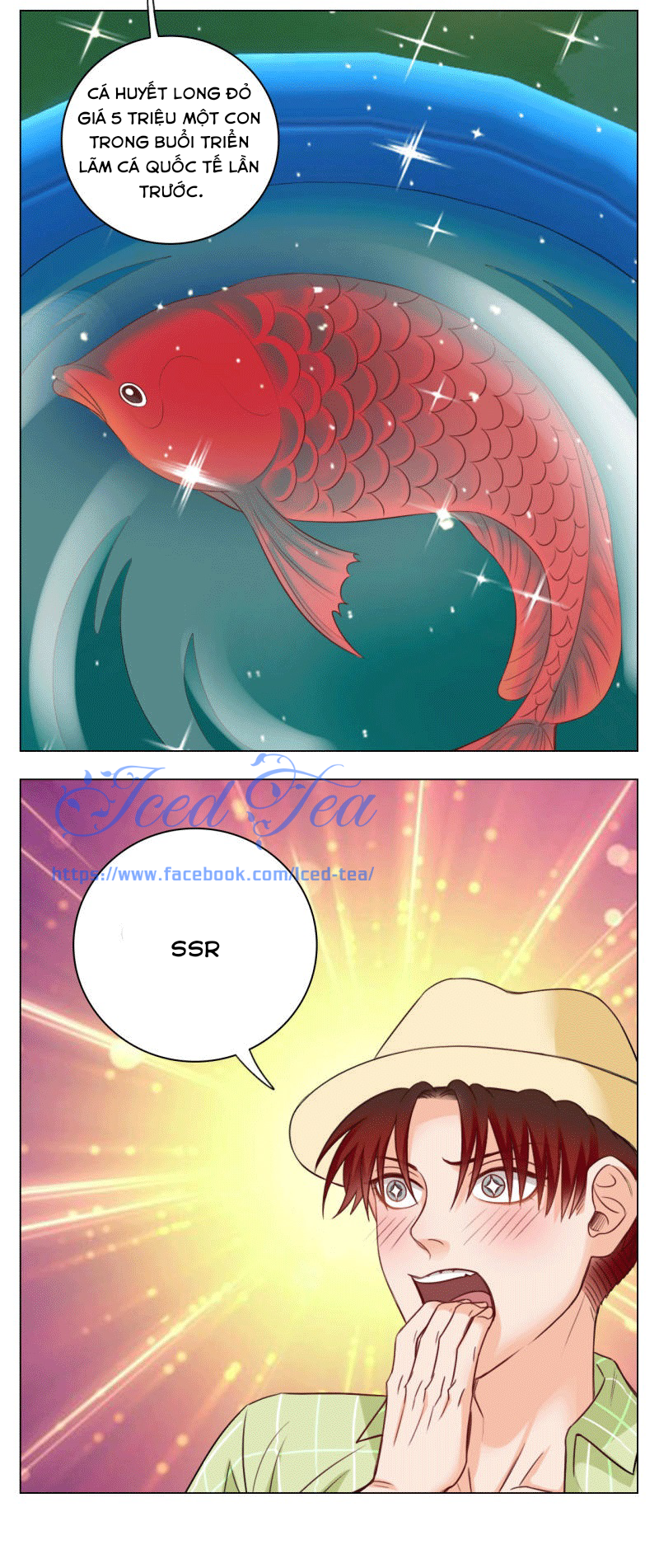 ký túc xá nam phòng 303 chapter 22 52