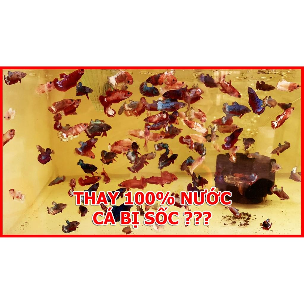 Dung dịch giảm pH hồ cá BETTA COFFY ️