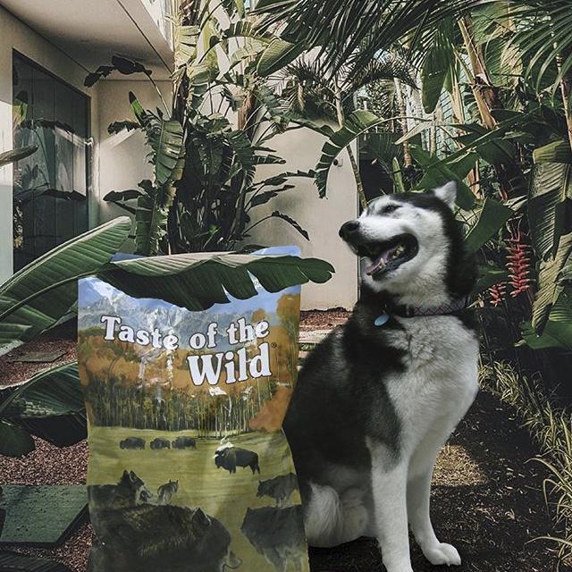 Thức Ăn Cho Chó Husky Taste Of The Wild Bao 2kg - High Praire Thức Ăn Cho Chó, Vị Bò Rừng, Na Niướng, Trái Cây Rau Củ