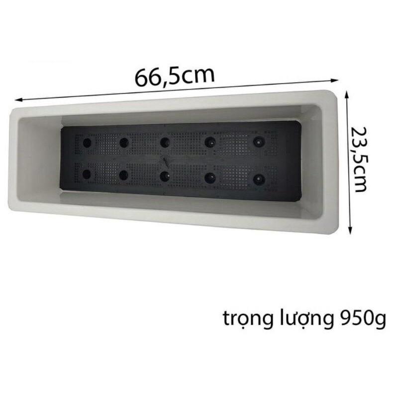 Khay trồng hoa, trồng rau