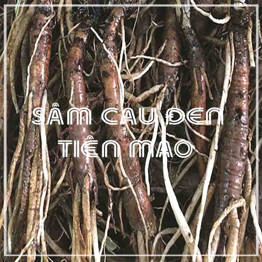 1kg Sâm Cau Đen chuẩn rừng loại 1 khô sạch