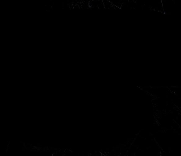 dành cho nhân vật bị bỏ rơi yêu thích nhất của tôi chapter 37.1 21