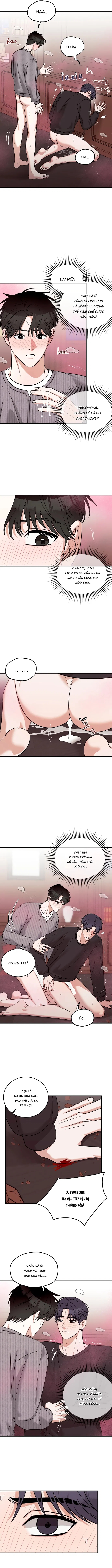 tôi không phải beta đâu nhé! chapter 4 8