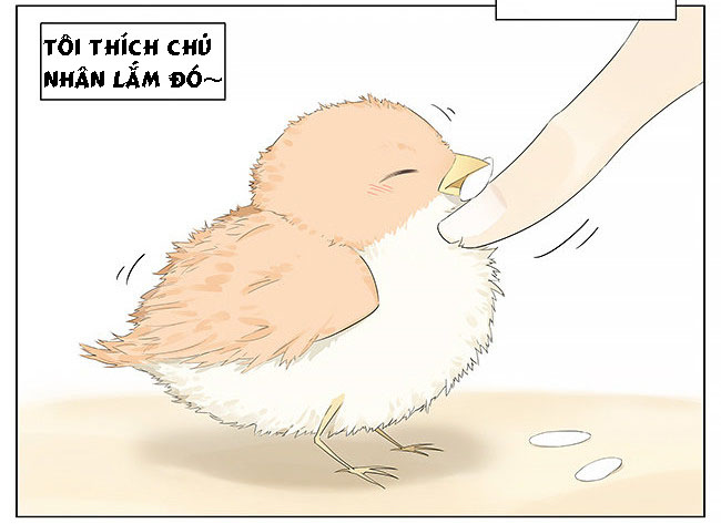 sẻ chiếu mới và nhạn phong sương chapter 10 2