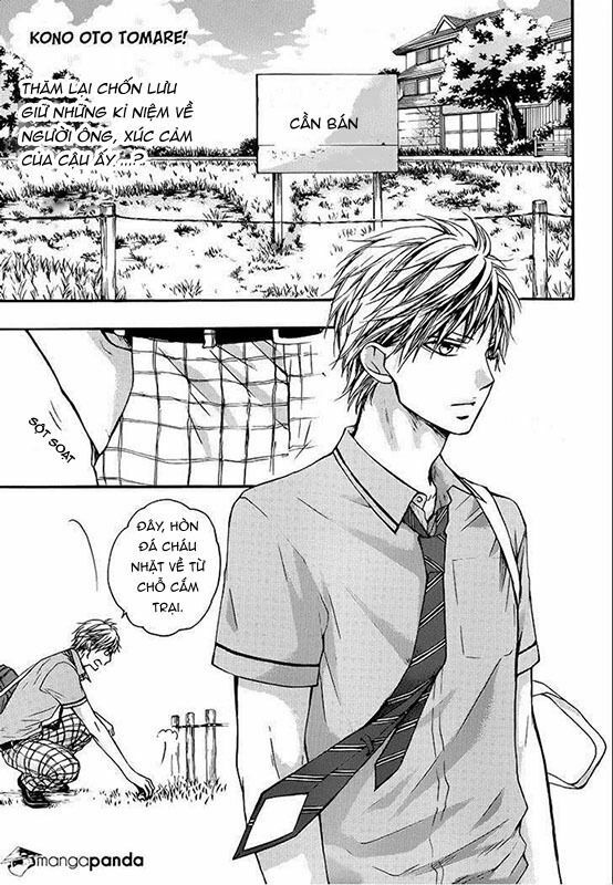 kono oto tomare! chapter 22 1
