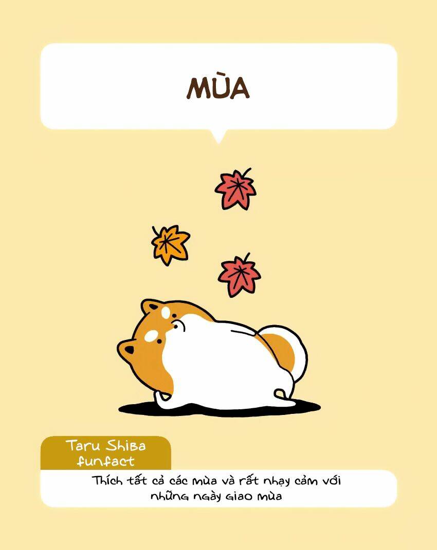 taru shiba chapter 6 4