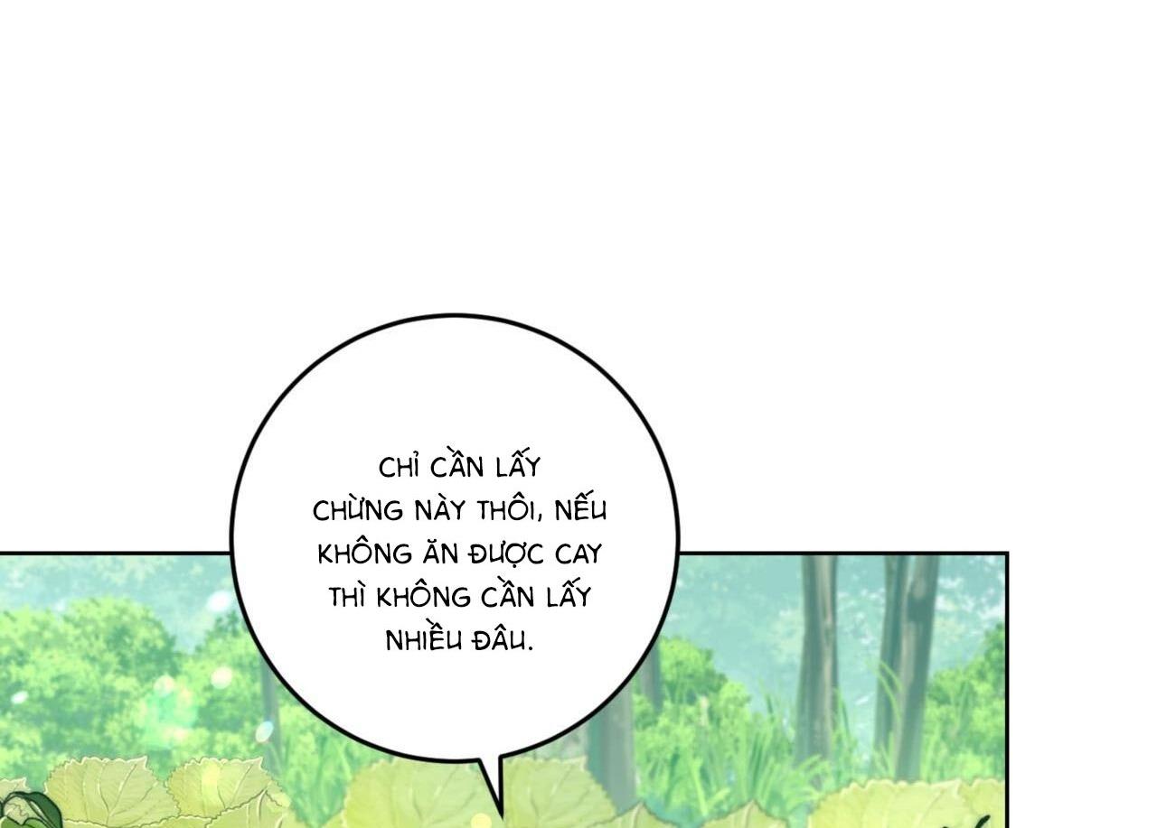 khu rừng tĩnh lặng chapter 3 23