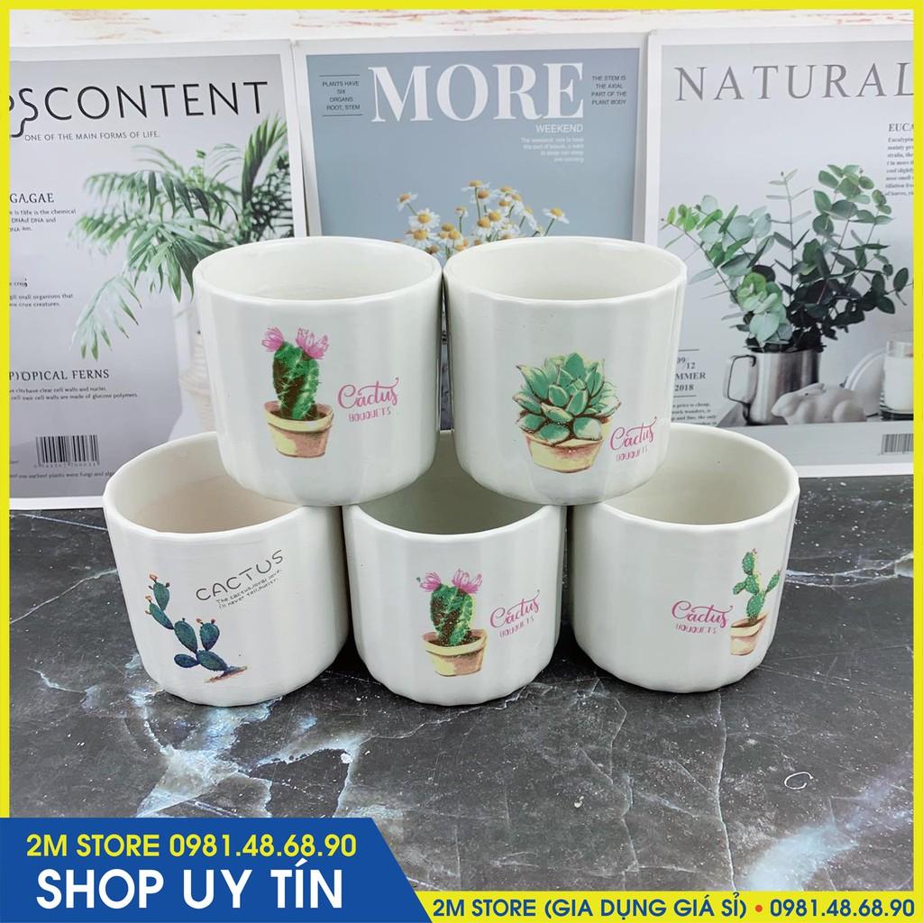 Chậu Sứ MINI Bát Tràng Trồng Cây Cảnh, Sen Đá, Xương Rồng Kiểu Kẻ Tăm Mẫu 2
