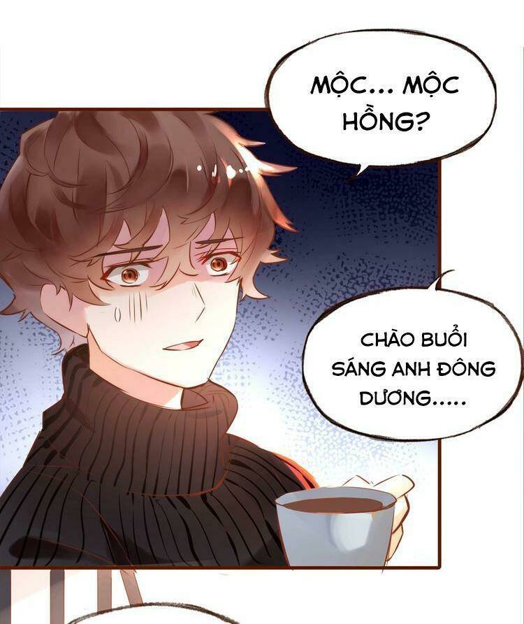 nở rộ trên bụi gai chapter 23 8