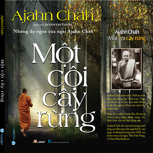 Combo 4 Quyển Ajahn Chah: Một Cội cây rừng - Suôi Nguồn Tâm Linh - Tâm Tĩnh Lặng - Trong vòng Sinh Diệt