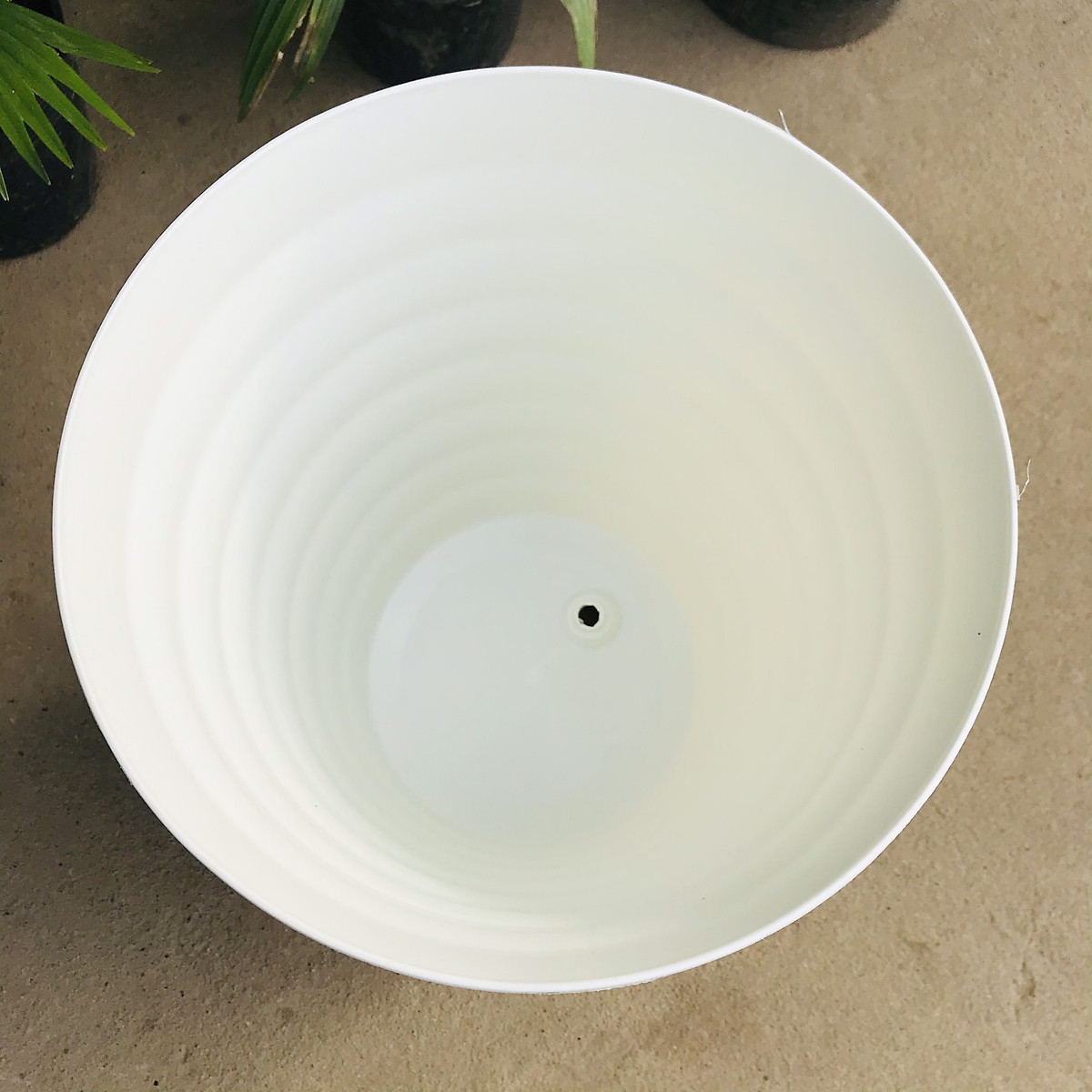 10 Chậu Vòng Tròn Dáng Cao, Chậu Nhựa Trồng Hoa Cây Cảnh Chất Lượng Cao, Bền, Đẹp
