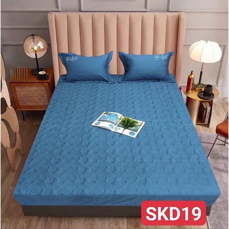 BST Drap Ga gối - Bộ 3 món ga giường và 2 chiếc vỏ gối chun trần silk