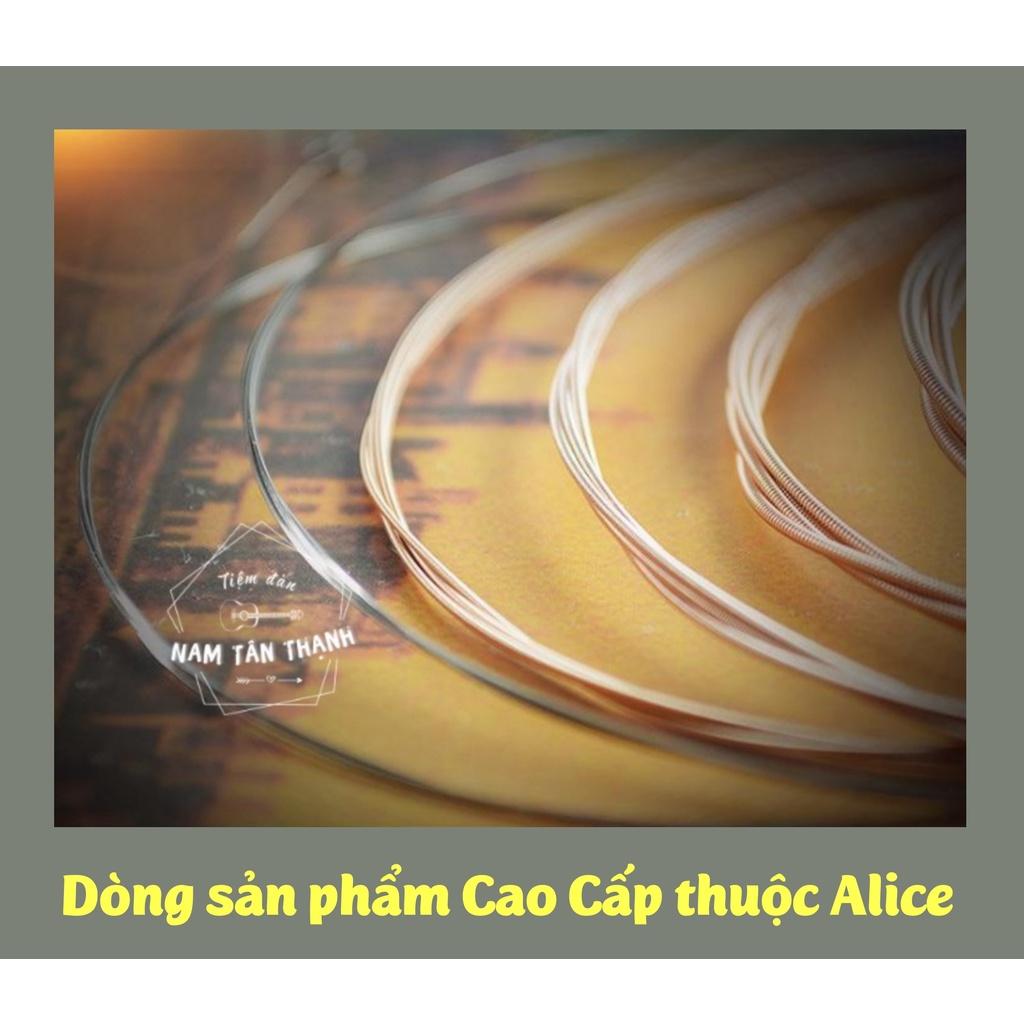 Dây đàn Guitar Acoustic Alice AW436 - Hàng Chính Hãng