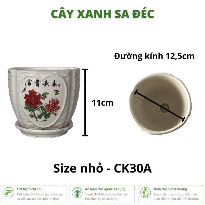 Bộ chậu men Trái Tim hình hoa hồng CK30 kèm dĩa size nhỏ và lớn trồng hoa, cây cảnh trang trí nhà cửa