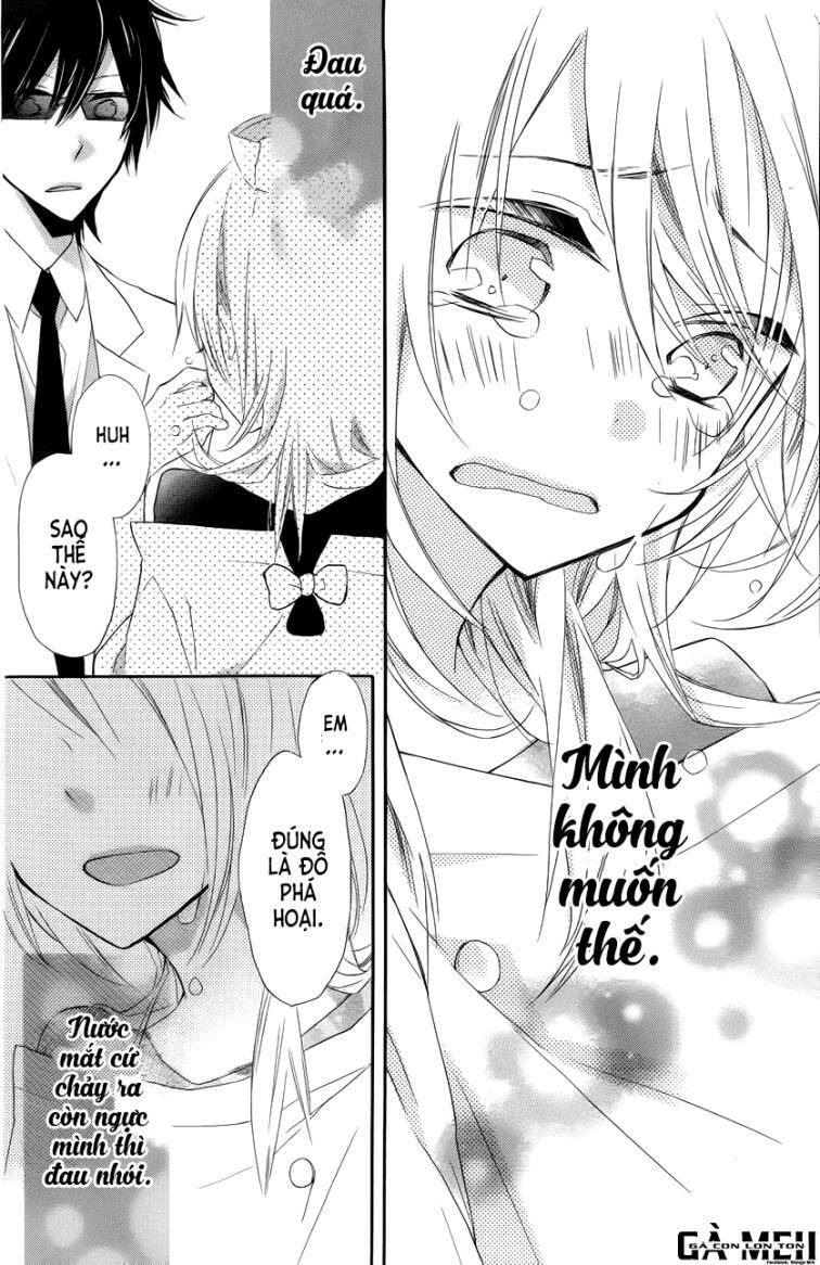 sugar girl, sugar dolls chapter 1 38