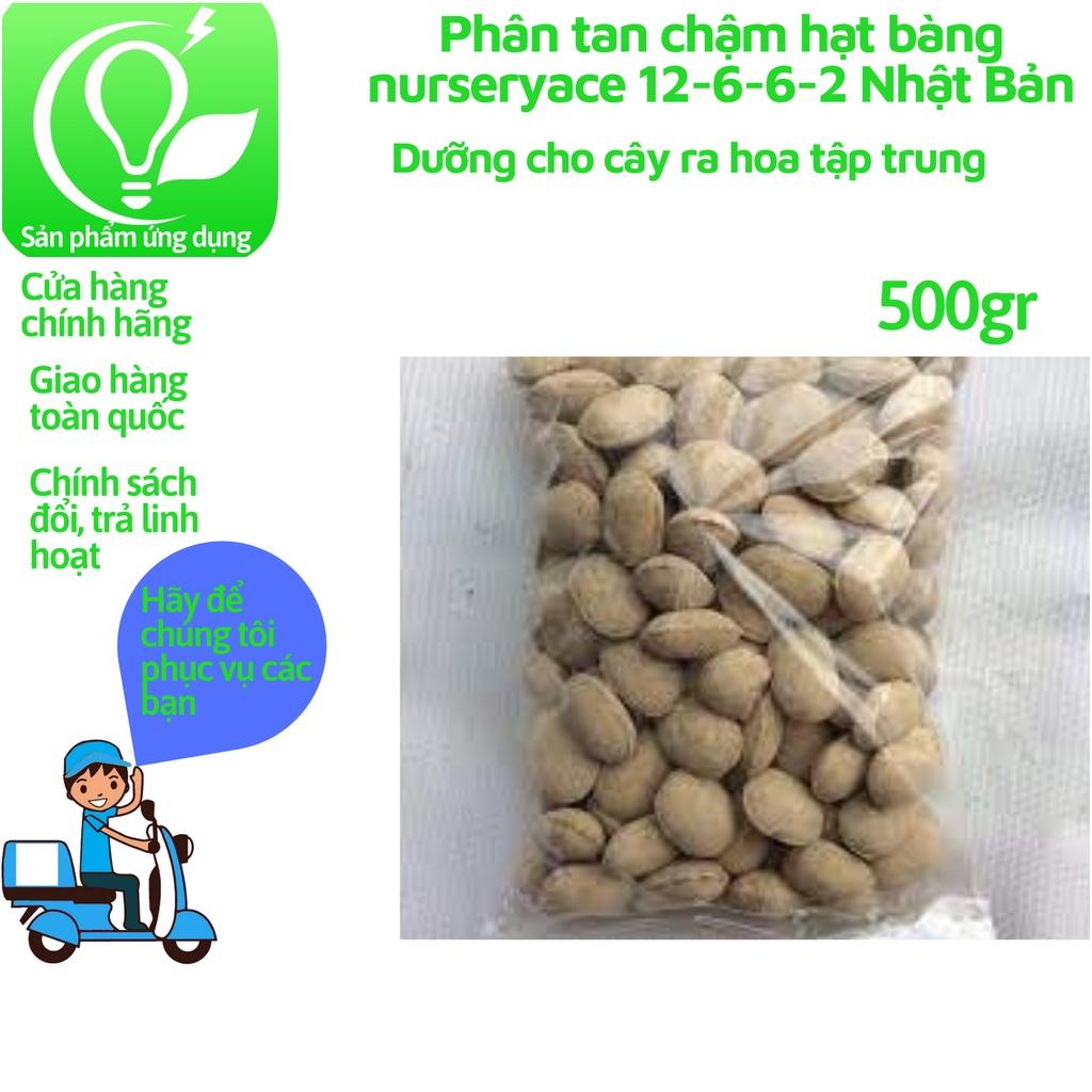 Phân tan chậm hạt bàng nurseryace 12-6-6-2 Nhật Bản 500gr cho Bonsai, hoa lan, cây cảnh, cây ăn trái