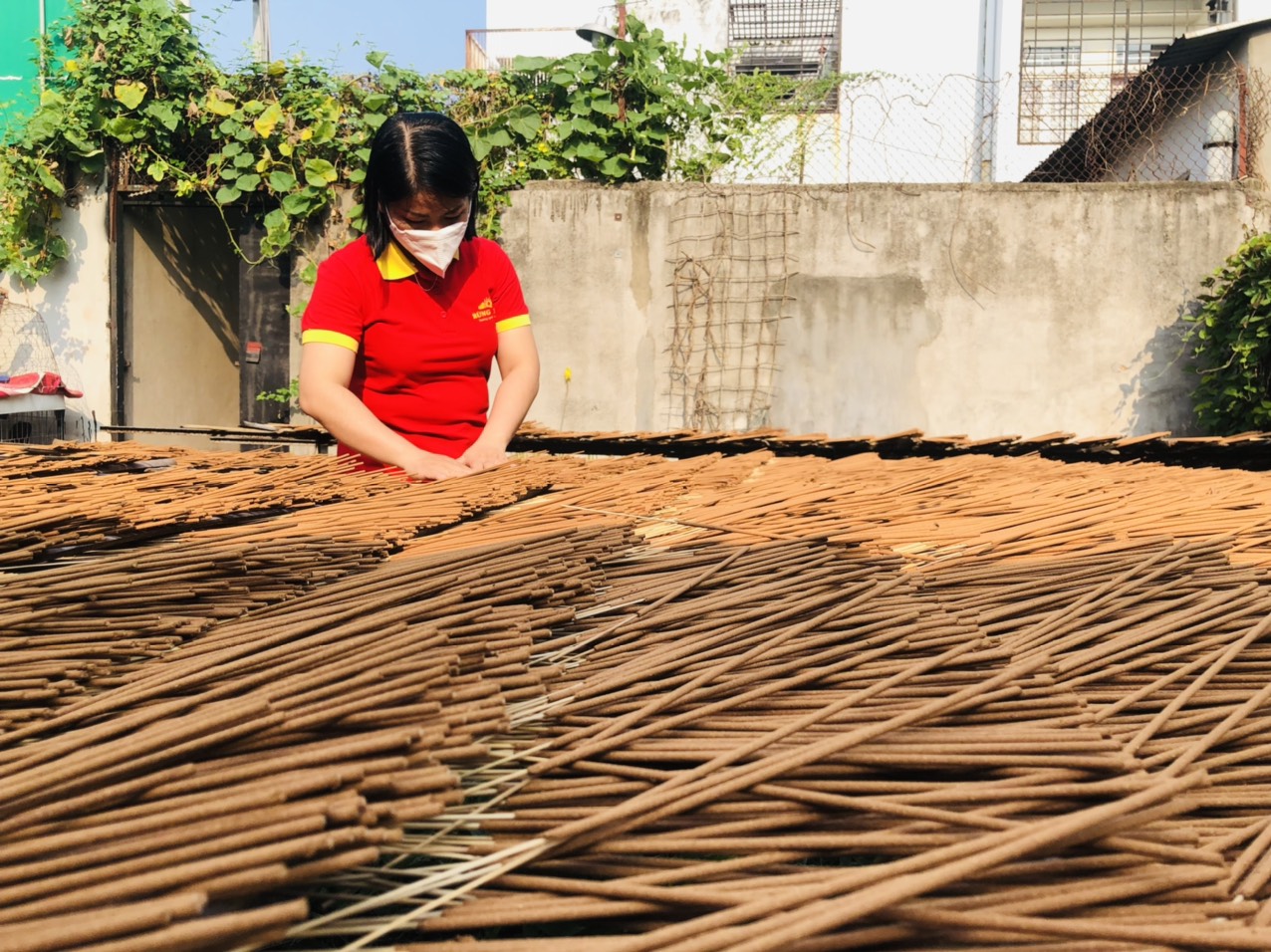 Nhang Quế Rừng Xanh - Quế nguyên chất, hương quế rừng tự nhiên, thanh lọc không khí, không gây độc hại đến sức khỏe, giúp tin thần thoải mái - 100% nguyên chất - Hàng chính hãng