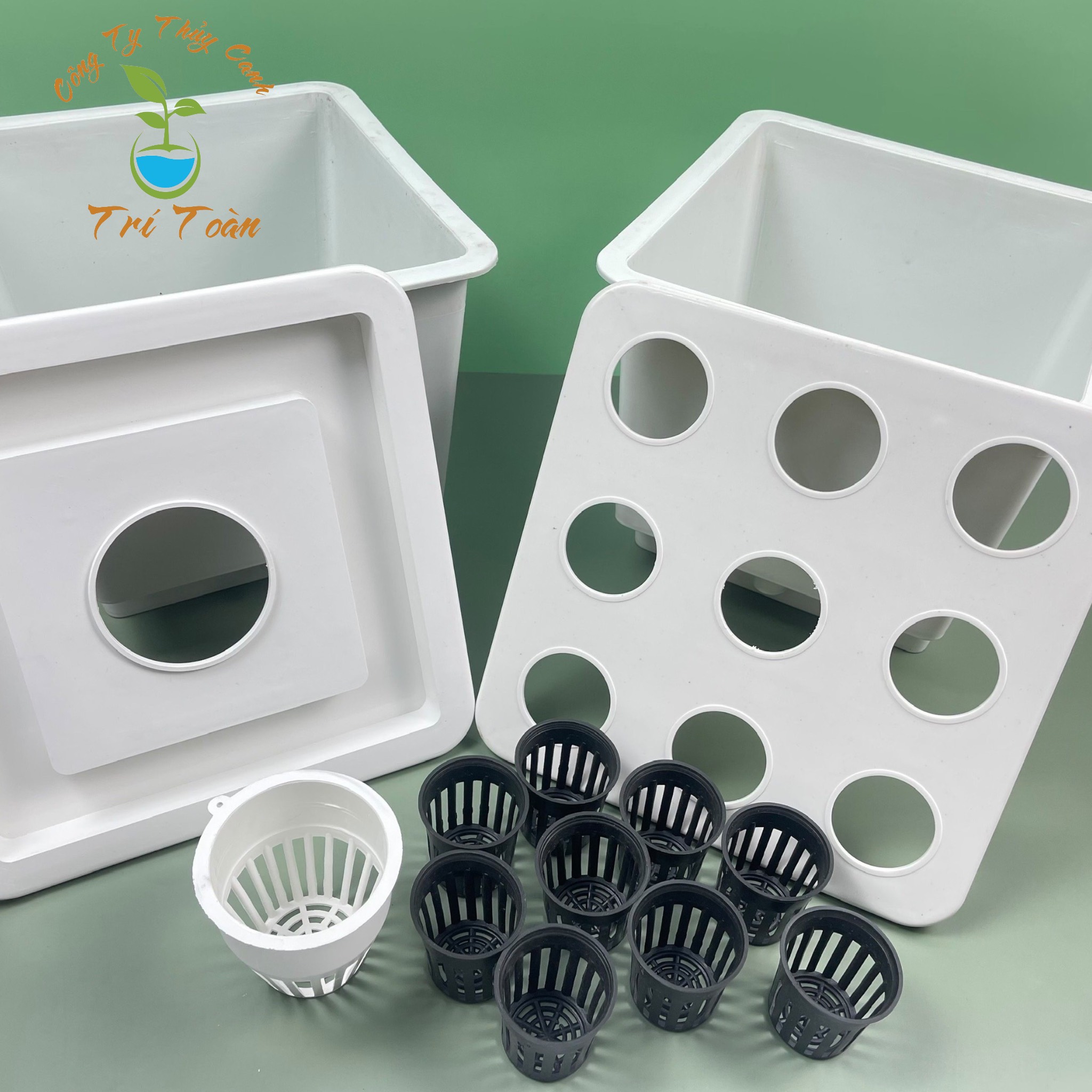 (Combo 6 thùng) Thùng nhựa trồng rau thủy canh tĩnh combo trồng rau ăn lá và ăn trái (3 thùng ăn lá, 3 thùng ăn trái)