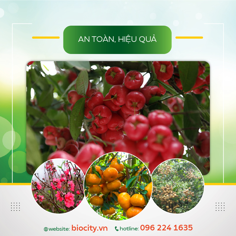 Sát khuẩn, diệt nấm, tẩy rong rêu – Ô Nano Cu 500ml