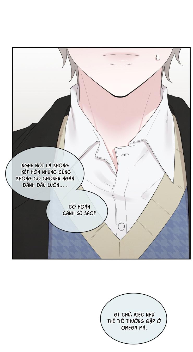 nếu không là định mệnh thì là gì? chapter 1 11