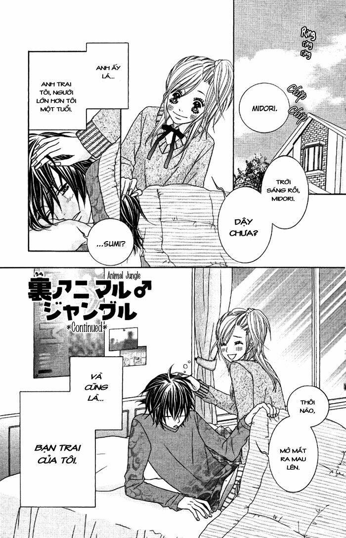 animal jungle chapter 4 36