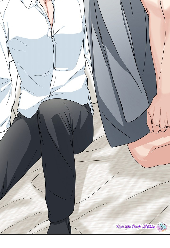 đối tác an toàn chapter 9 11