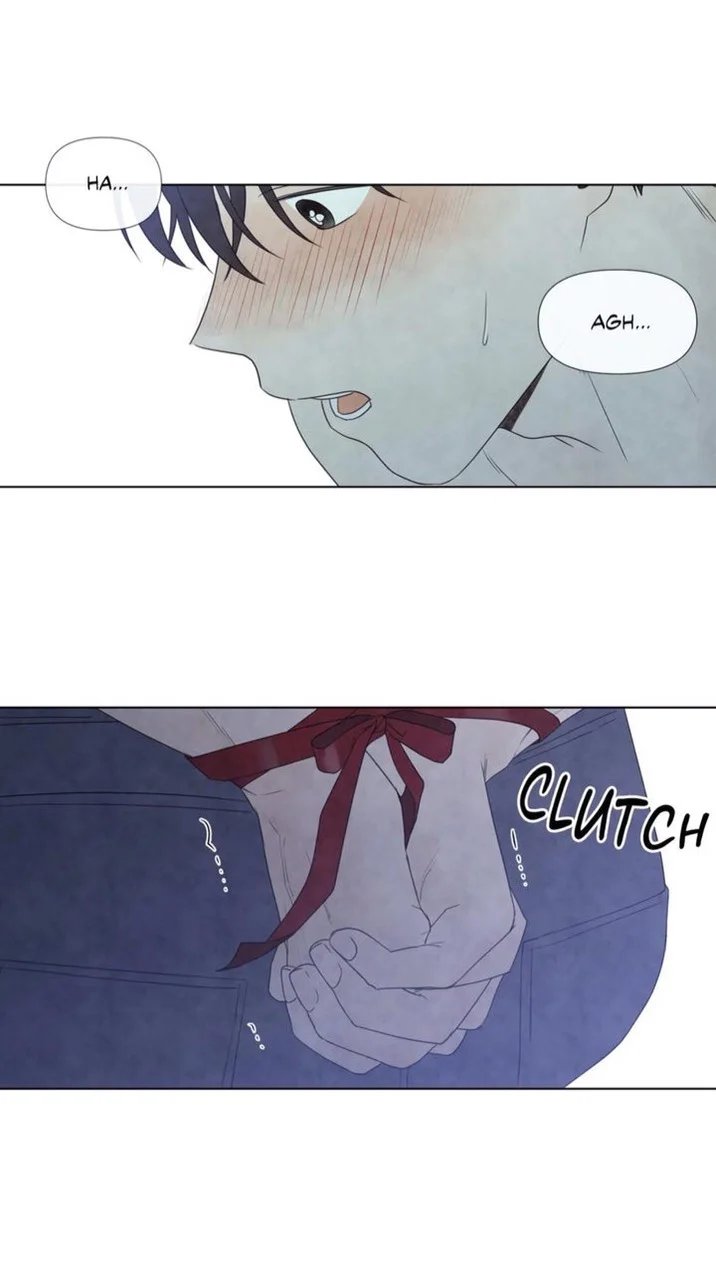 summer solstice point chapter 23 10