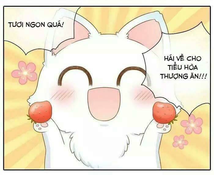 tiểu hồ ly vs tiểu hóa thượng chapter 14 4