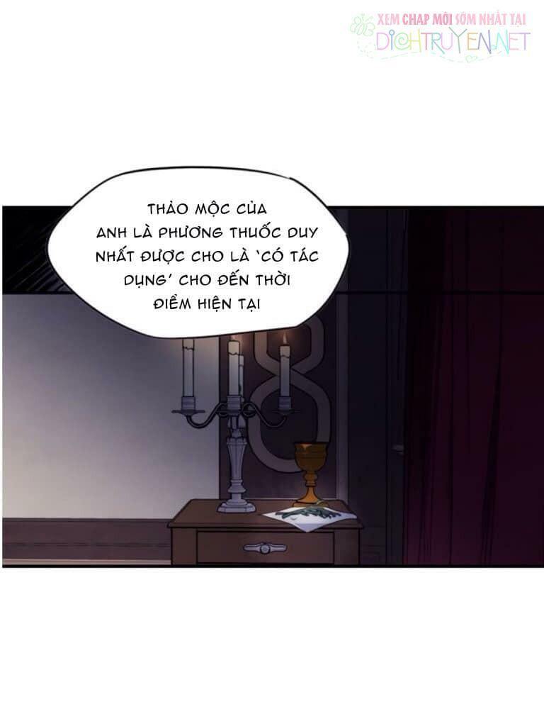 bị che khuất bởi ánh hoàng hôn chapter 3 24