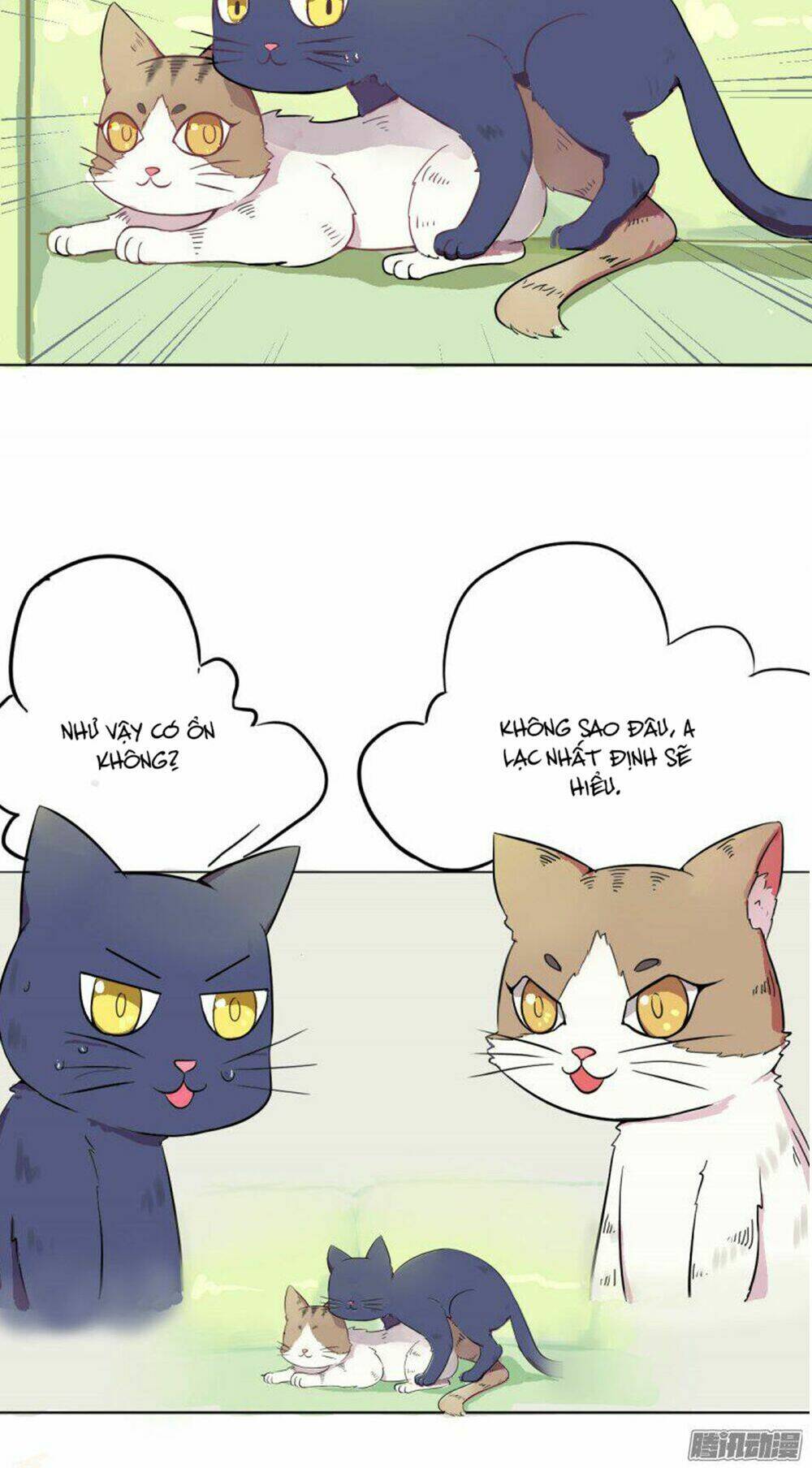 hai chú mèo totem chapter 2 10