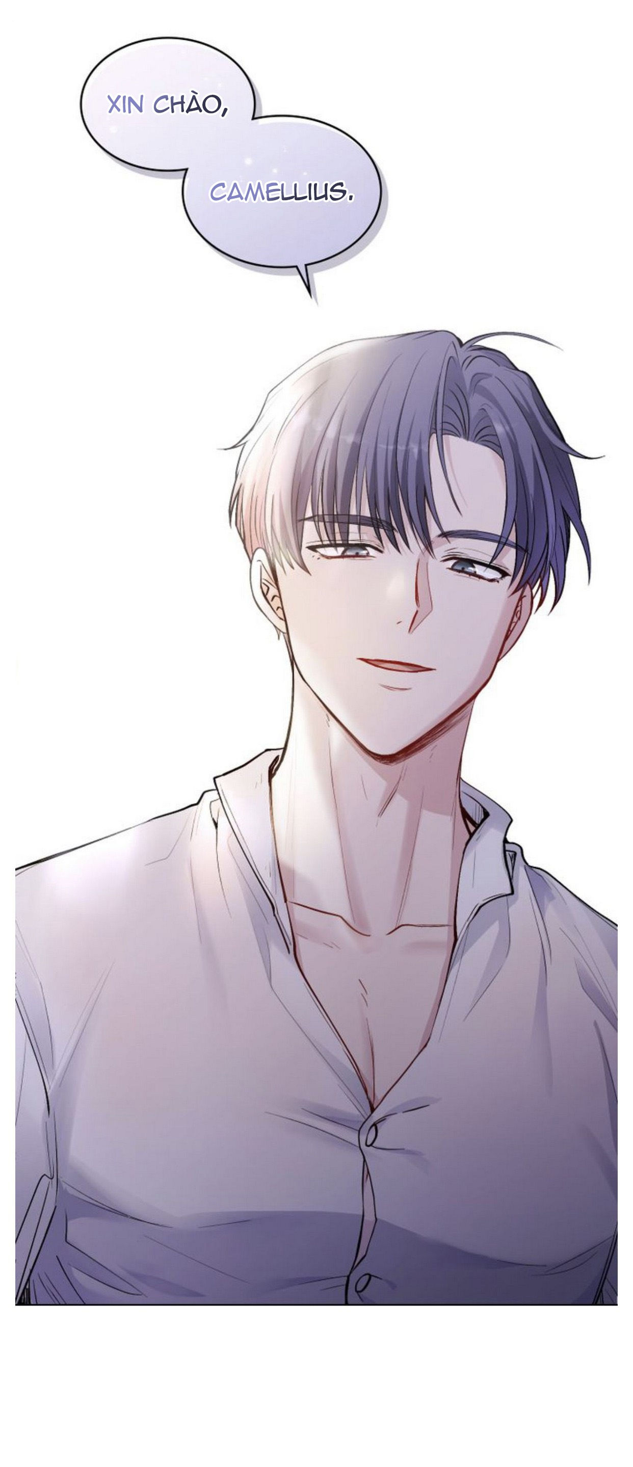 tìm lại nàng camellia chapter 11 67