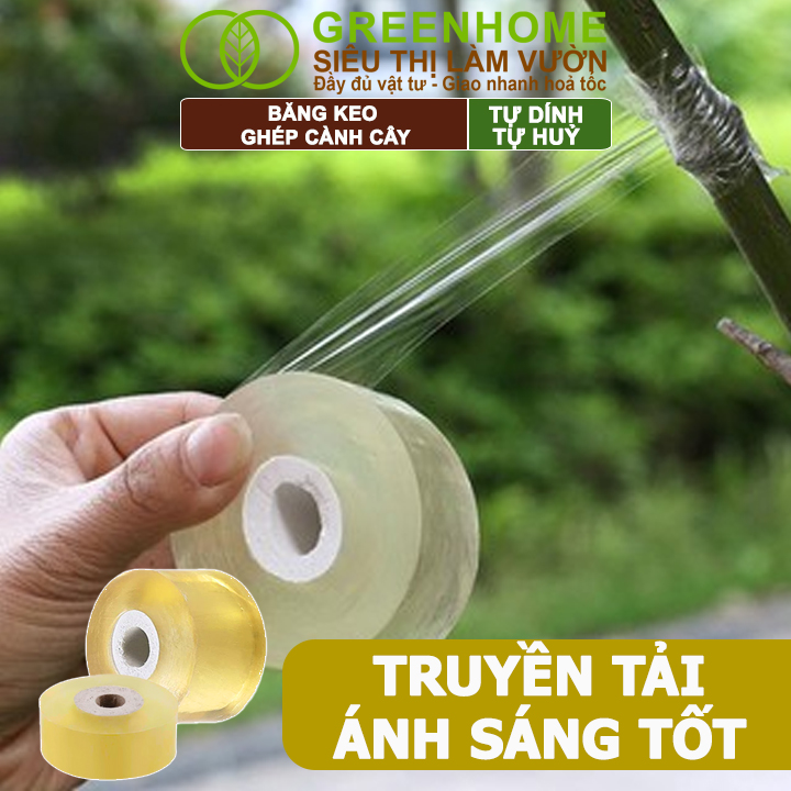 Keo Ghép Cành Greenhome, Dụng cụ làm vườn, Bảo Vệ Mối Ghép Nhanh Liền, Tự Dính, Tự Huỷ, Dễ Sử Dụng