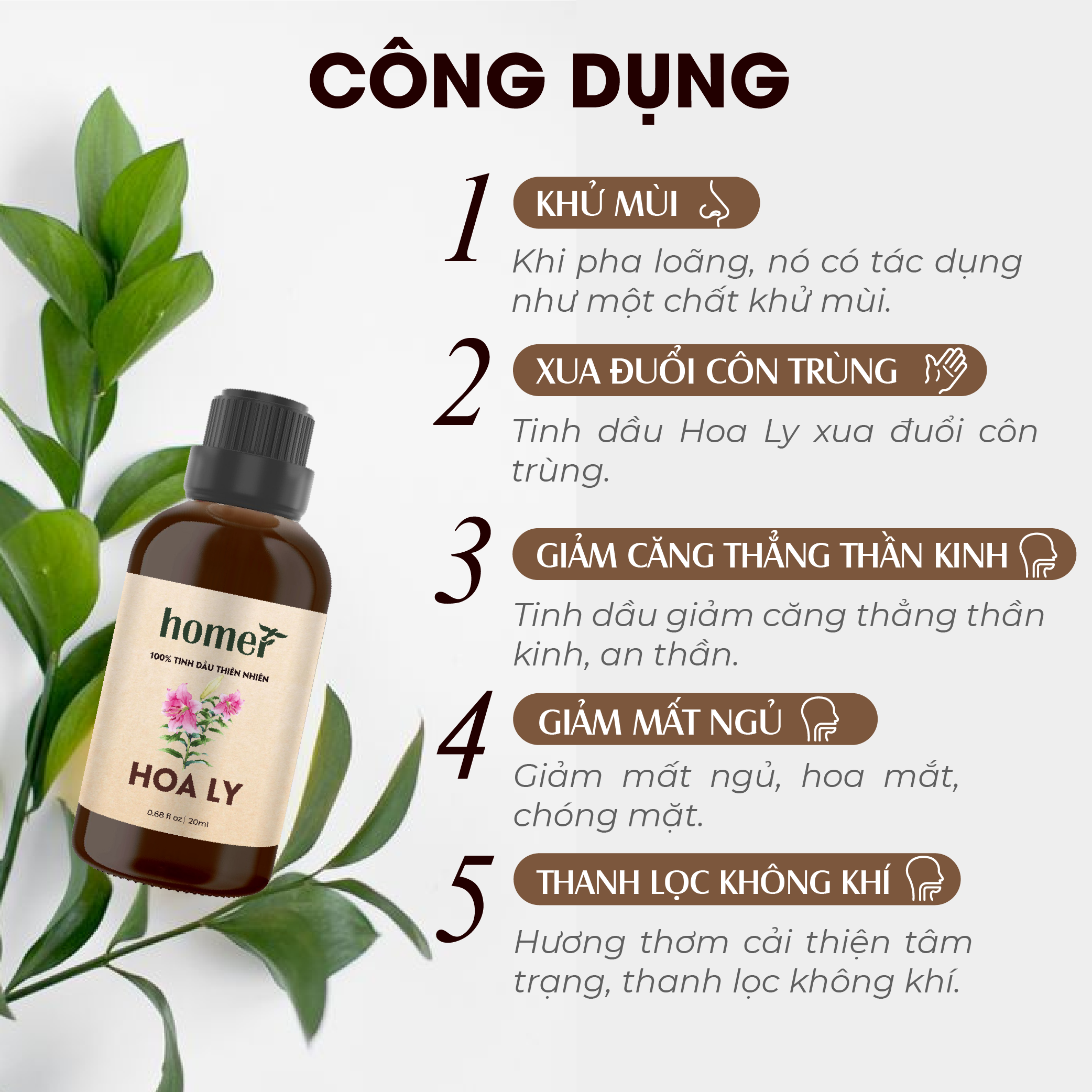 Tinh Dầu Hoa Ly Homer 100ml - Chính Hãng, Đạt Chuẩn Kiểm Định Cao Cấp - Tinh Dầu Xông Thơm Phòng, Thư Giãn, Khử Mùi hiệu quả