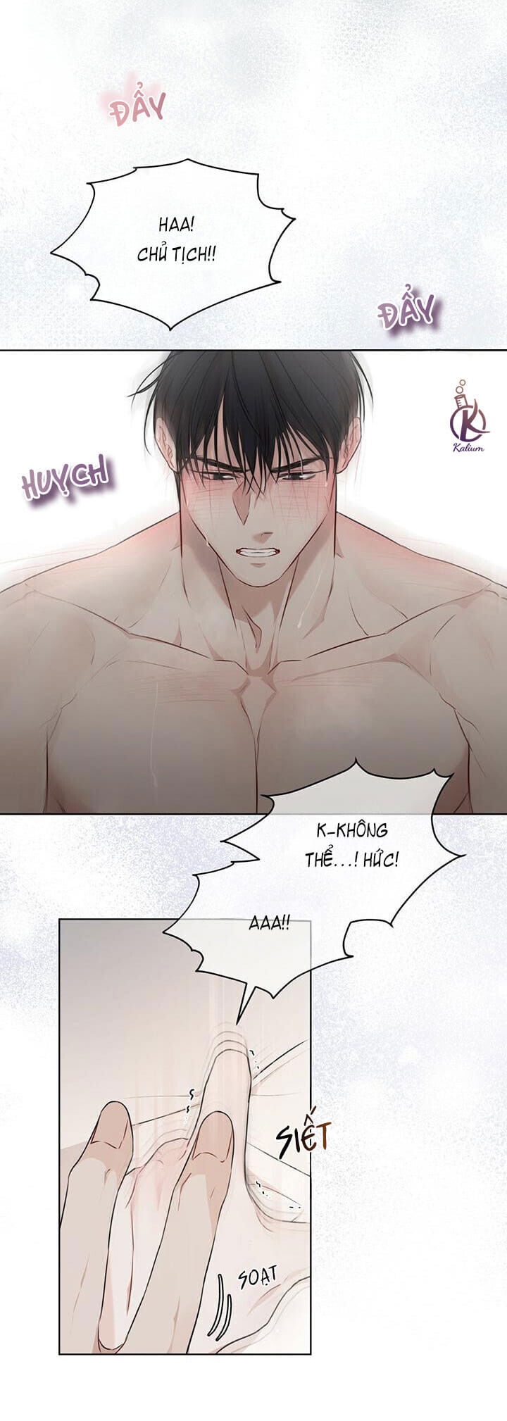 hình thái khởi sinh chapter 28 34