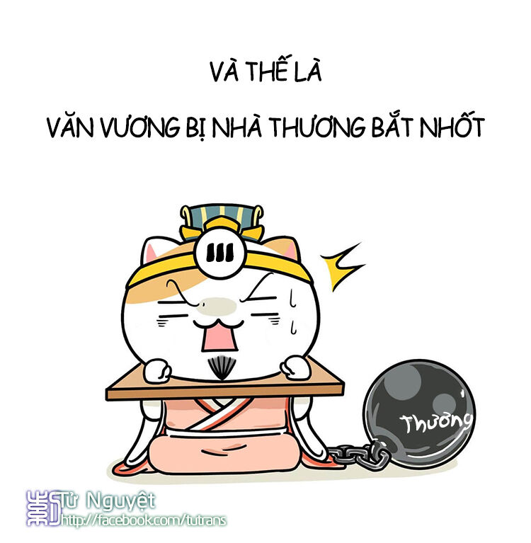 nếu lịch sử là một bầy mèo chapter 11 23